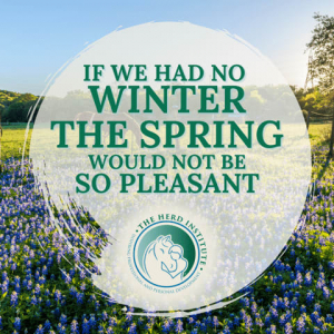 The HERD Institute | No Spring Without Winter