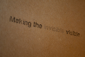 The HERD Institute | Making the Invisible, Visible