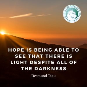 The HERD Institute | There is Light
