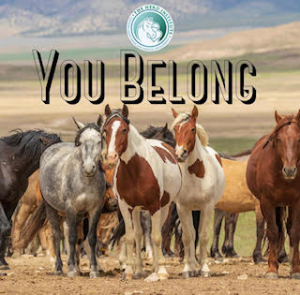 The HERD Institute | You Belong
